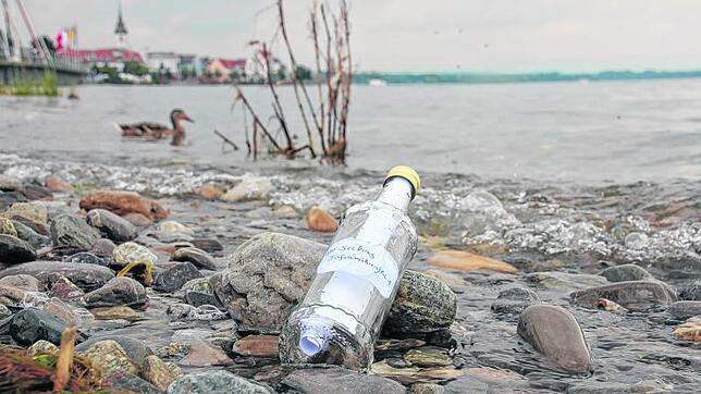 Kurz vor dem Fest haben wir den Seehas um ein Flaschenpost-Interview gebeten.