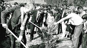 Die Städtepartnerschaft zwischen Radolfzell und Istres besteht schon seit rund 50 Jahren. Um die Partnerschaft zu besiegeln, reisten im ...