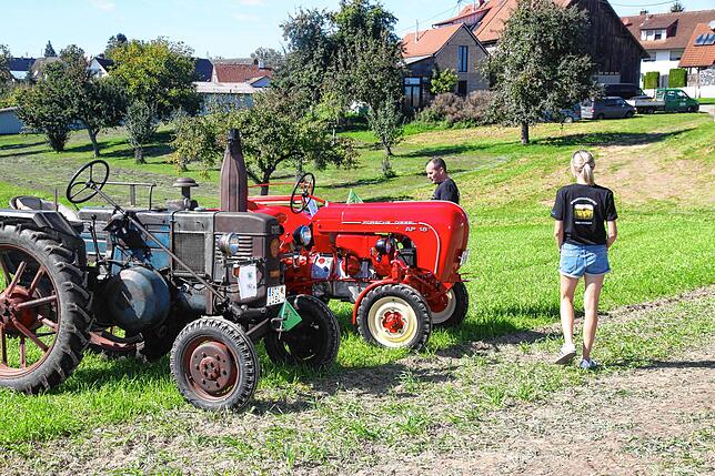 Bild 25: Voller Erfolg: Das 10. Schafstallfest der Hobixer Narrenzunft und der Familie Möll in Mainwangen