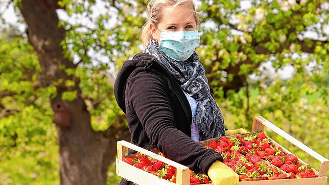 Ines Kammerer, Bodensee-Apfel-Prinzessin von 2014, macht auch mit Corona-Maske eine gute Figur.