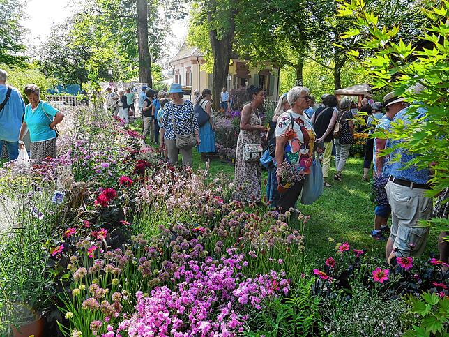 Bild 25: Die schönsten Bilder von der DIGA-Gartenmesse im Bad Säckinger Schlosspark