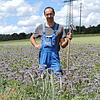 Andreas Moser inmitten seiner  Bienenweide.