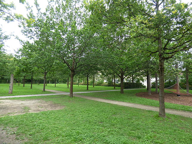 2019: Statt Baracken stehen Eichenbäume auf der Wiese und der Blick auf Hohentwiel und den alten Bauhof ist zugewachsen.