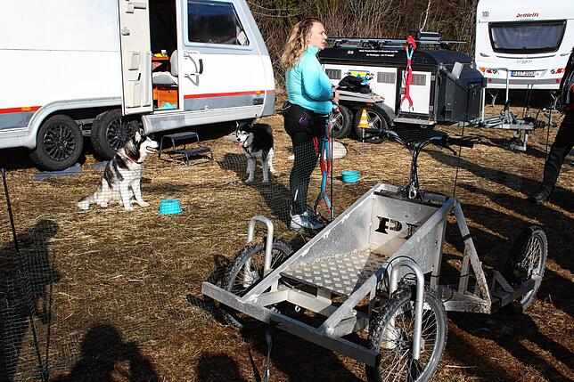 Bild 6: Bilder vom Husky-Camp und Huskyfiebermarkt in Todtmoos