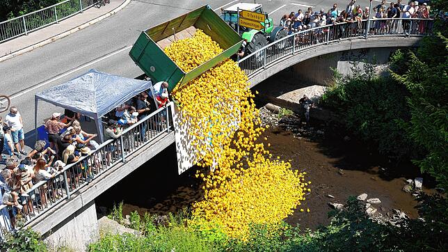 Start zu 24. Entenrennen der Round Table 76 VS. 6.500 gelbe Plastikenten stürzen kopfüber von der Inselhofbrücke in die Brigach.