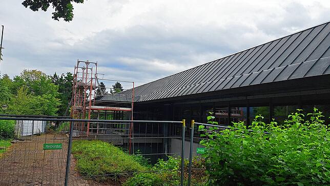 Ein Gerüst vor dem Haupteingang der Seebodenhalle: Letzte Dacharbeiten an der Attika erfolgen im August 2025.