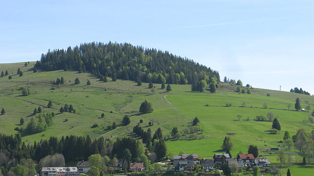 Die Zufahrt zum geplanten Berggasthaus Panoramahütte auf dem Kaiserberg war ein wichtiges Thema der Gemeinderatssitzung. Bild: Ulrike ...