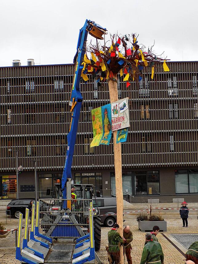 Der erste Murger Narrenbaum steht.