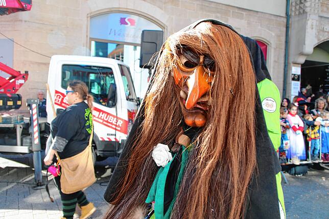 Bild 5: So schön ist der Umzug am Fasnachtsmontag in Bad Säckingen
