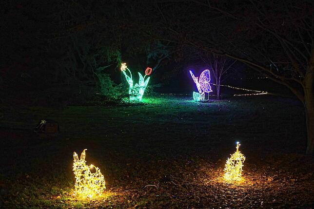 Bild 22: Insel Mainau: Bilder vom Start des Christmas Garden 2023 - Teil 1