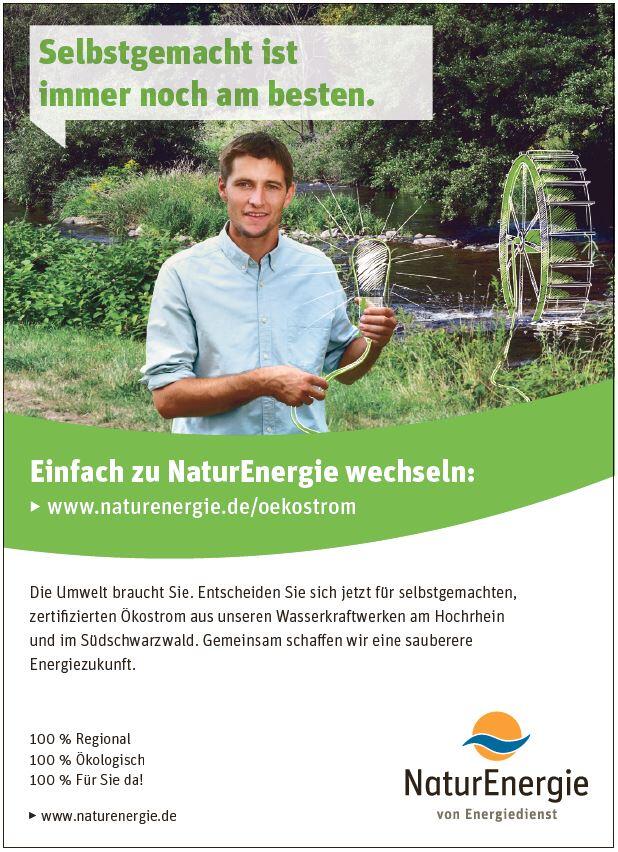 Bild 3: Bauen und Wohnen in Rheinfelden, Grenzach-Wyhlen, Schwörstadt