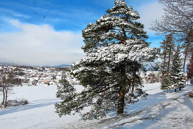 Bild 10: Der Winter hat zugeschlagen Teil 2