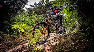 Der Ortschaftsrat Minseln lehnt die Mountainbike-Strecke ab. Das Foto entstand in Todtnau. Symbolfoto: Sebastian Sternemann