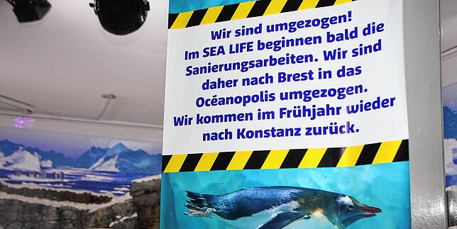 Ein Schild weist darauf hin: Die Eselspinguine sind schon weg. Sie verbringen die Zeit des Umbaus des Konstanzer Sealife in Frankreich.