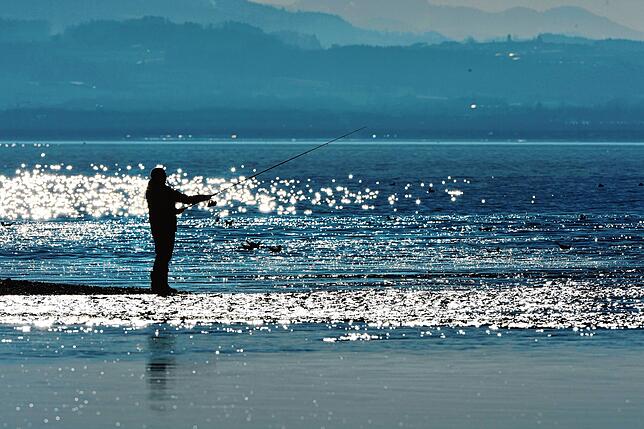 Wer am Bodensee die Angelrute auswerfen will, benötigt neben einem Fischereischein auch eine Angelerlaubnis.