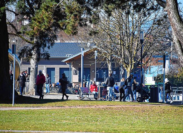 Bild 15: Reinfahren, suchen, scheitern, rausfahren: Massenweise Autos auf der Umleitung in Bodman und eine halbe Völkerwanderung vom Weilerkapellen-Parkplatz zum See