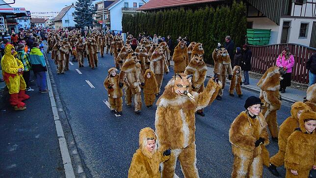 Die Untersigginger Füchse, hier bei einem früheren Dämmerumzug, freuen sich schon auf die närrische Sause am Samstag. Archivbild: ...