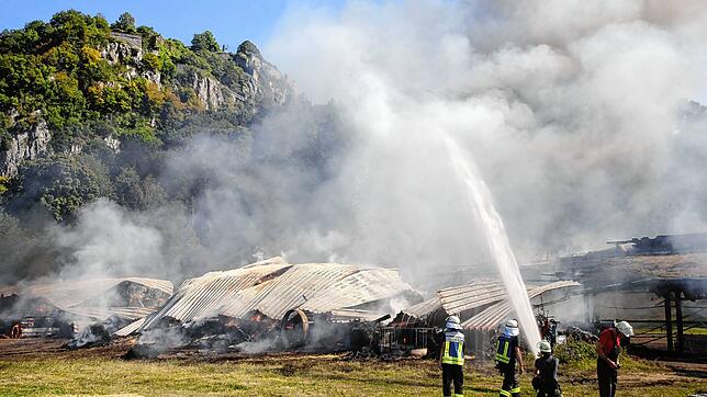 Zu einem der größten und schwersten Einsätze für die Freiwillige Feuerwehr in Singen zählte ein Feuer auf der Domöne Hohentwiel im Jahr ...
