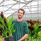 Martin Feldmann hat das indische Blumenrohr in die Stadtgärtnerei gebracht.