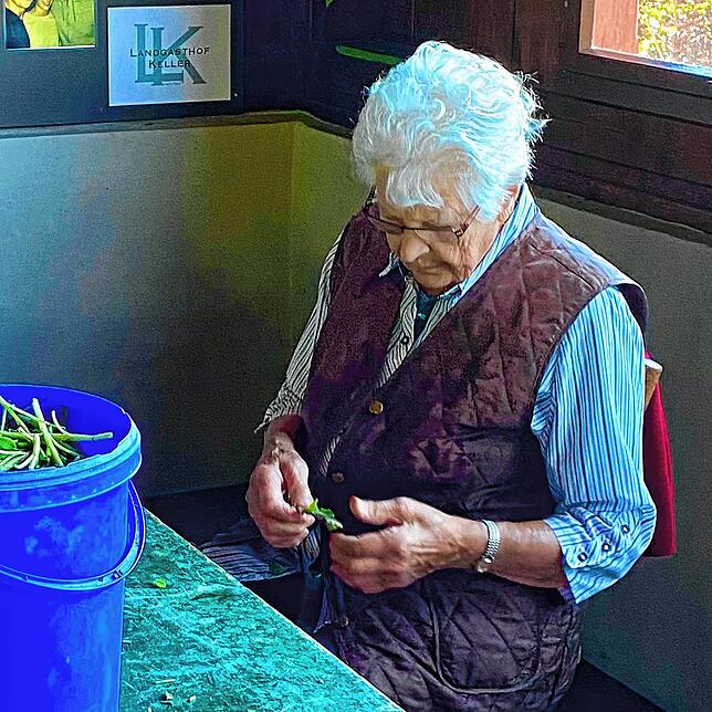 Auch Oma Selma hilft beim Entstielen der Salbeiblätter.