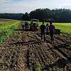 Mitglieder können von Frühjahr bis Herbst auf dem Acker der SoLawi mithelfen und etwas über den regionalen Anbau erfahren.