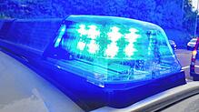 Ein Polizeiauto mit eingeschaltetem Blaulicht. (Symbolbild) Ein Autofahrer ist am Mittwoch gegen ein geparktes Auto auf dem Gelände ...
