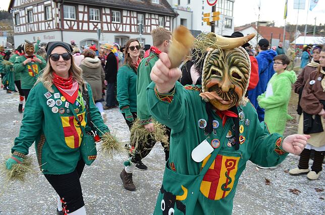 Bild 9: Eigeltinger Narrentage: Der Sonntagsumzug in Bildern (4)