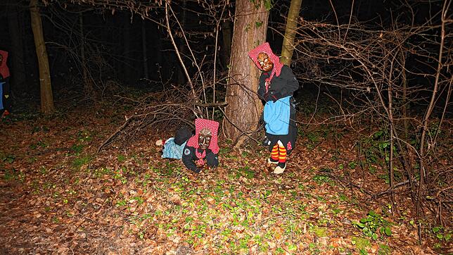 Bild 5: Konstanzer Fasnacht: Bilder vom Fackelumzug durch den Uniwald