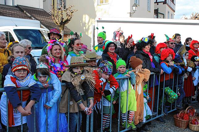 Bild 17: Kinderumzug und Setzen des Kindernarrenbaums in Stockach (Teil 2)