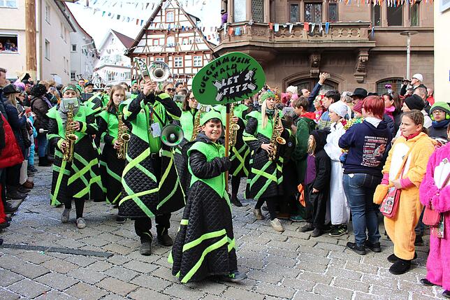 Bild 18: Bilder vom Fasnetsmäntigumzug in Meßkirch