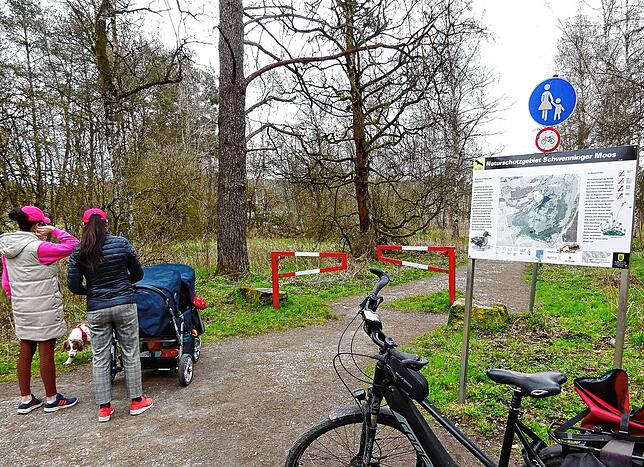 Am Schwenninger Moos lässt man das Rad stehen und geht ein wenig zu Fuß in das Naturschutzgebiet hinein, um das besondere Biotop zu ...