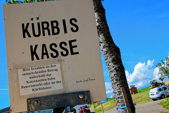 Bild 2: Beim 11. Höchenschwander Strohskulpturen-Wettbewerb gibt es auch zu Kürbisse zu sehen und zu kaufen