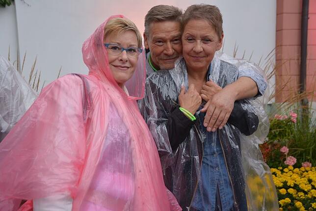 Bild 1: Das Sommersinnfonie-Konzert mit den The Dire Straits Experience in Bildern