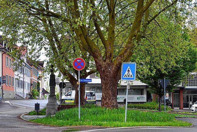 Grün in der Stadt bessert das Mikroklima.