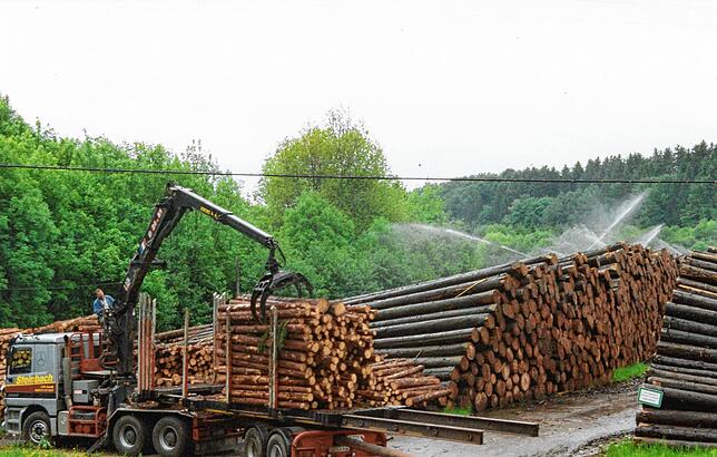 1999:Das Nasslager in Hottingen schützte das Holz vor Qualitätsverlust.