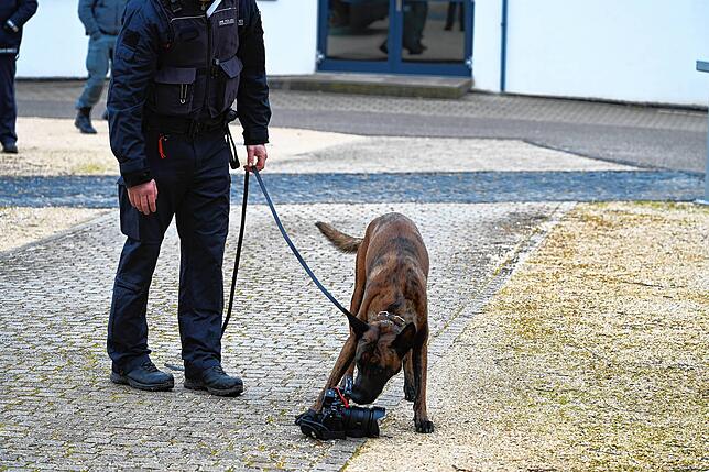Hohe Sicherheitsstandards: Vor dem Besuch wurde das Gelände wie auch die Ausrüstung der Reporter von der Hundestaffel untersucht