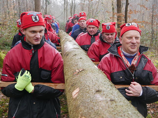 Echte Teamarbeit: Die Zunftgesellen holen den Narrenbaum ein.