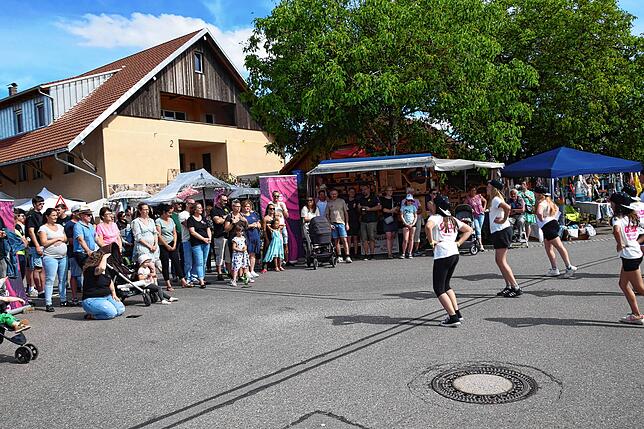 Bild 16: So schön sind die 53. Rosentage in Nöggenschwiel am Samstag (Teil 1)