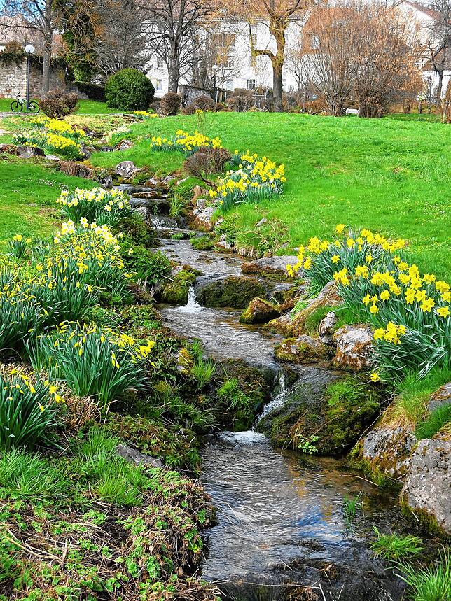 Beliebt: Der Japanische Garten gehört zu den Attraktionen, die die Stadt Bonndorf auch im touristischen Bereich zu bieten hat. Im ...
