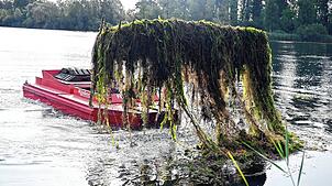 Im Baggersee Giesen entfernt ein Räumboot die Algen