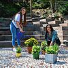 Linda Küpfer (links) und Emma Küpfer bringen mit Blumen Farbtupfer auf die Sitzstufen am Sunnebuggele.