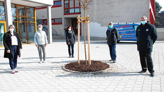 Der Schulhof ist fertig, eine Buche wieder gepflanzt (v.l.): Schulleiterin Christine Rutschmann (Hans-Thoma-Gemeinschaftsschule), ...