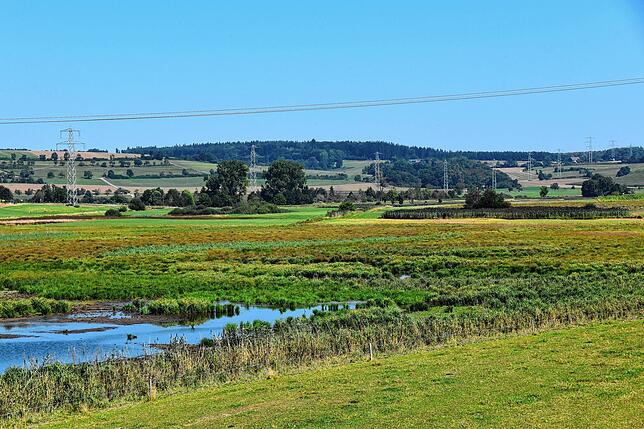 Ein Blick über das Heudorfer Ried zeigt die Vielfalt des Gebiets mit seinen Herausforderungen. Es gilt, Infrastruktur wie die ...