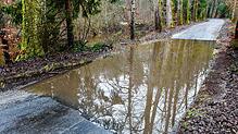 Ende vergangener Woche hatte sich auf der Verbindungsstraße zwischen Dettingen und Hegne Wasser gesammelt. Nun ist die Straße wieder ...
