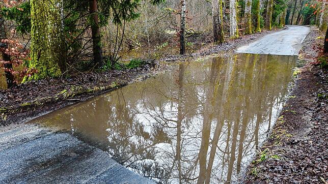Ende vergangener Woche hatte sich auf der Verbindungsstraße zwischen Dettingen und Hegne Wasser gesammelt. Nun ist die Straße wieder ...