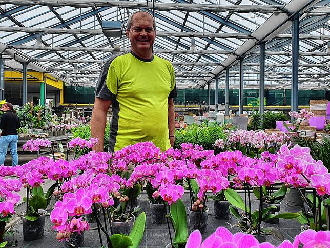 Hier soll der Preis wie überall auch nach Möglichkeit stabil bleiben. Orchideen werden im wärmsten Gewächshaus gehalten. Thomas Wiedmann ...