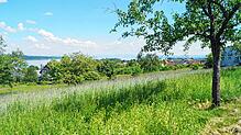 Das Neubaugebiet Marienweg in Litzelstetten ist noch eine Wiese. Sollte es keine weiteren Verzögerungen im wiederholten ...
