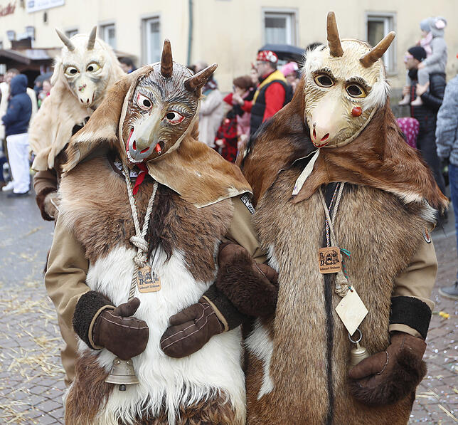 Bild 40: Bilder vom Kinderumzug in Donaueschingen-Pfohren