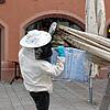 Imker Thorsten Kortmann sammelt 10.000 Bienen aus einem Sonnenschirm des Eiscafés Zampolli ein.