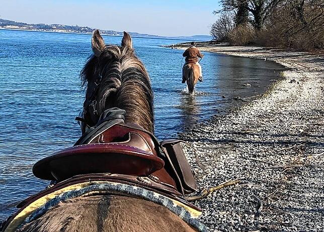 Ritt am See: Ausflüge von Vater und Tochter mit zwei Pferden an den Bodensee sind mit Hänger kein Problem.
